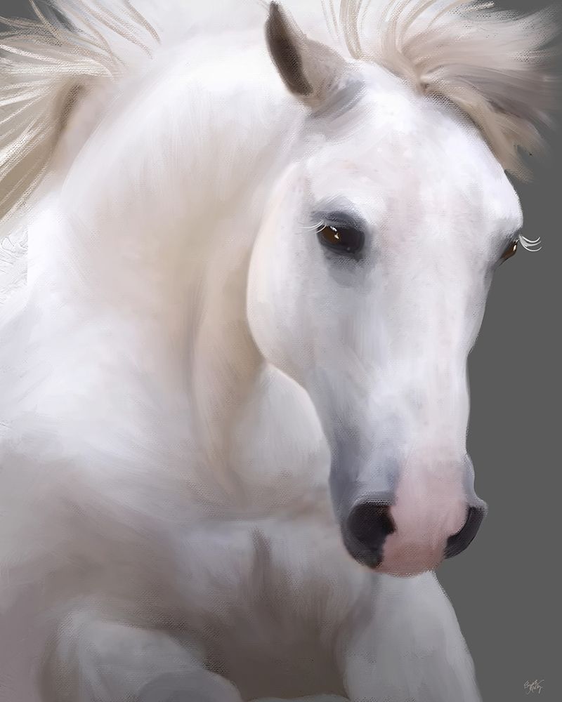 White Horse Portrait art print by Elizabeth Medley for $57.95 CAD