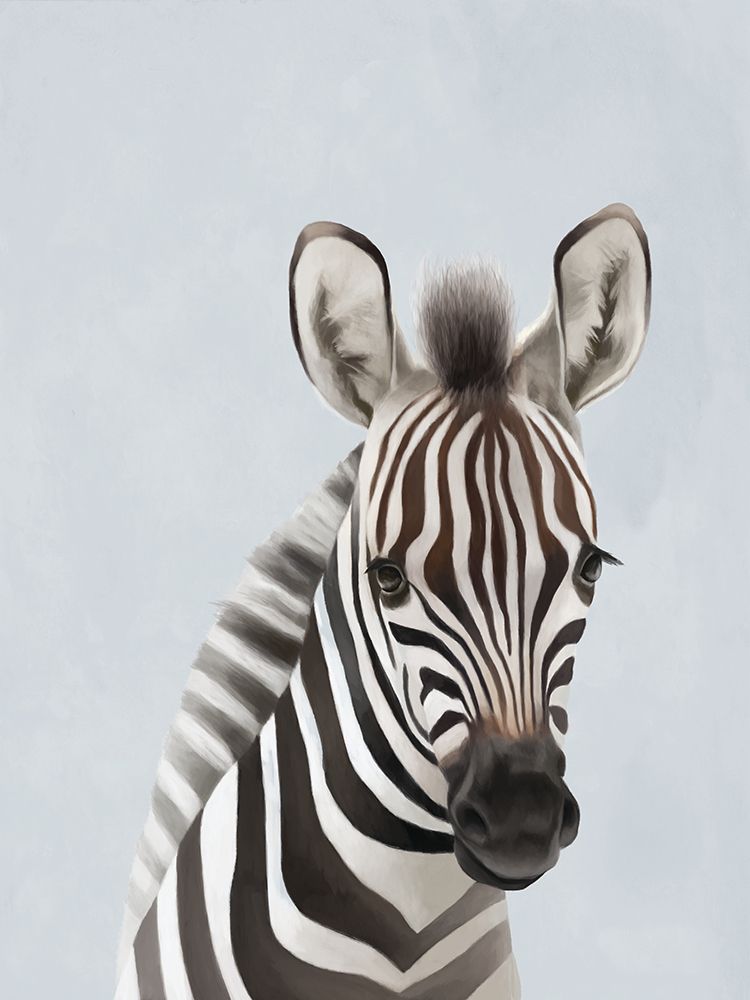 Baby Zebra art print by Lucca Sheppard for $57.95 CAD