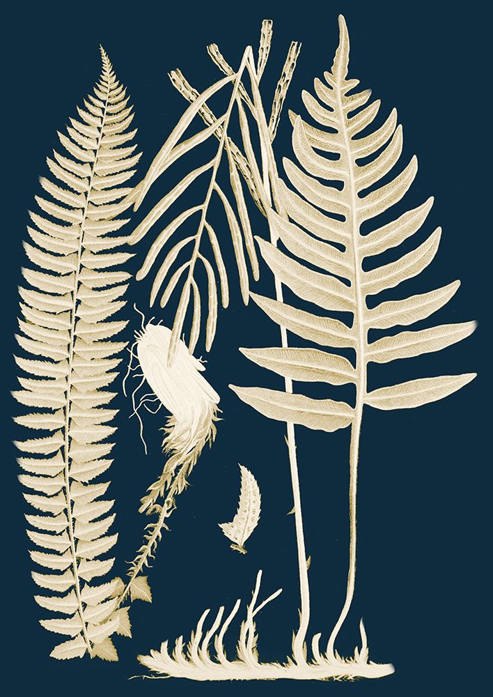 Ferns I art print by Piddix for $57.95 CAD