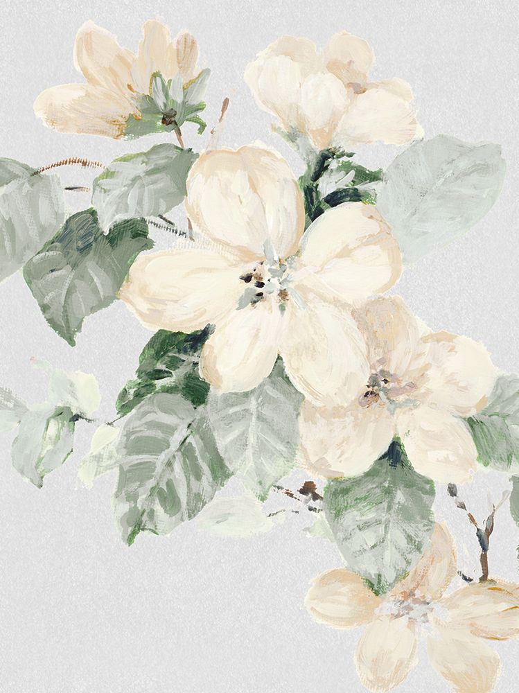 Muted White Blossoms I art print by Lanie Loreth for $57.95 CAD