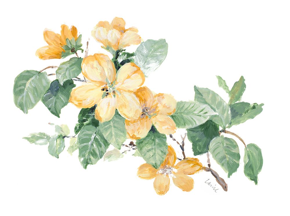 Soft Yellow Flowers I art print by Lanie Loreth for $57.95 CAD