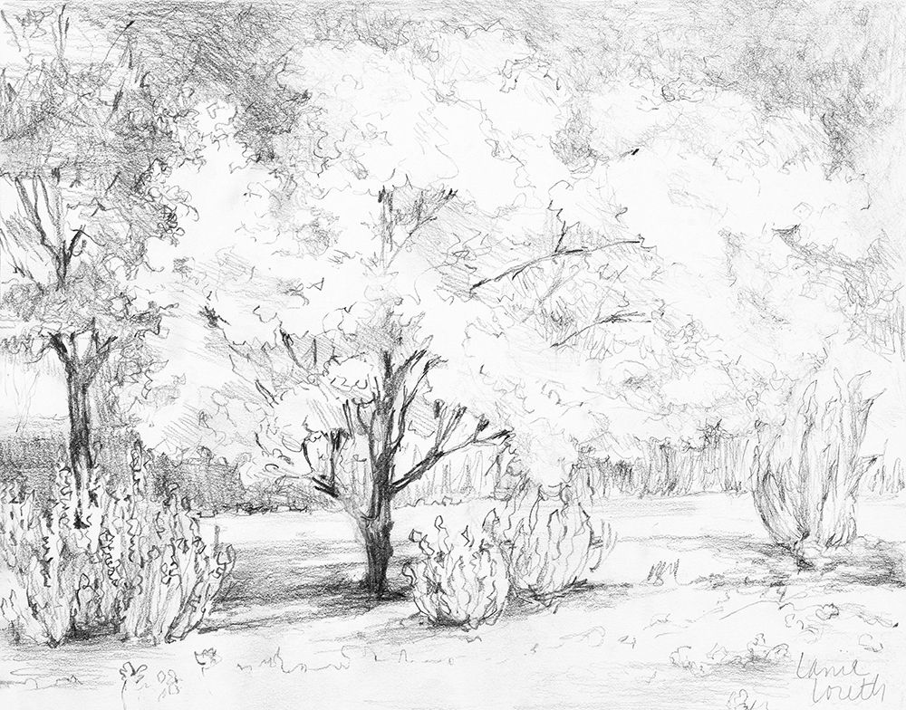 Shade Of The Trees art print by Lanie Loreth for $57.95 CAD