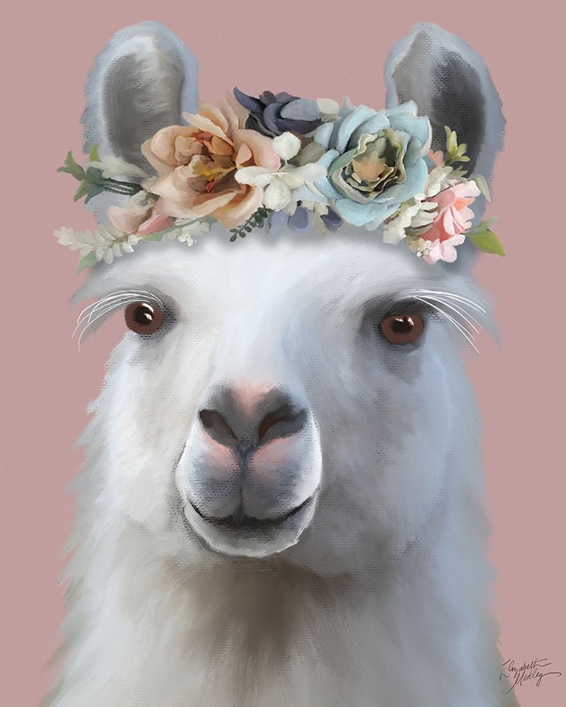 Queen Llama art print by Elizabeth Medley for $57.95 CAD