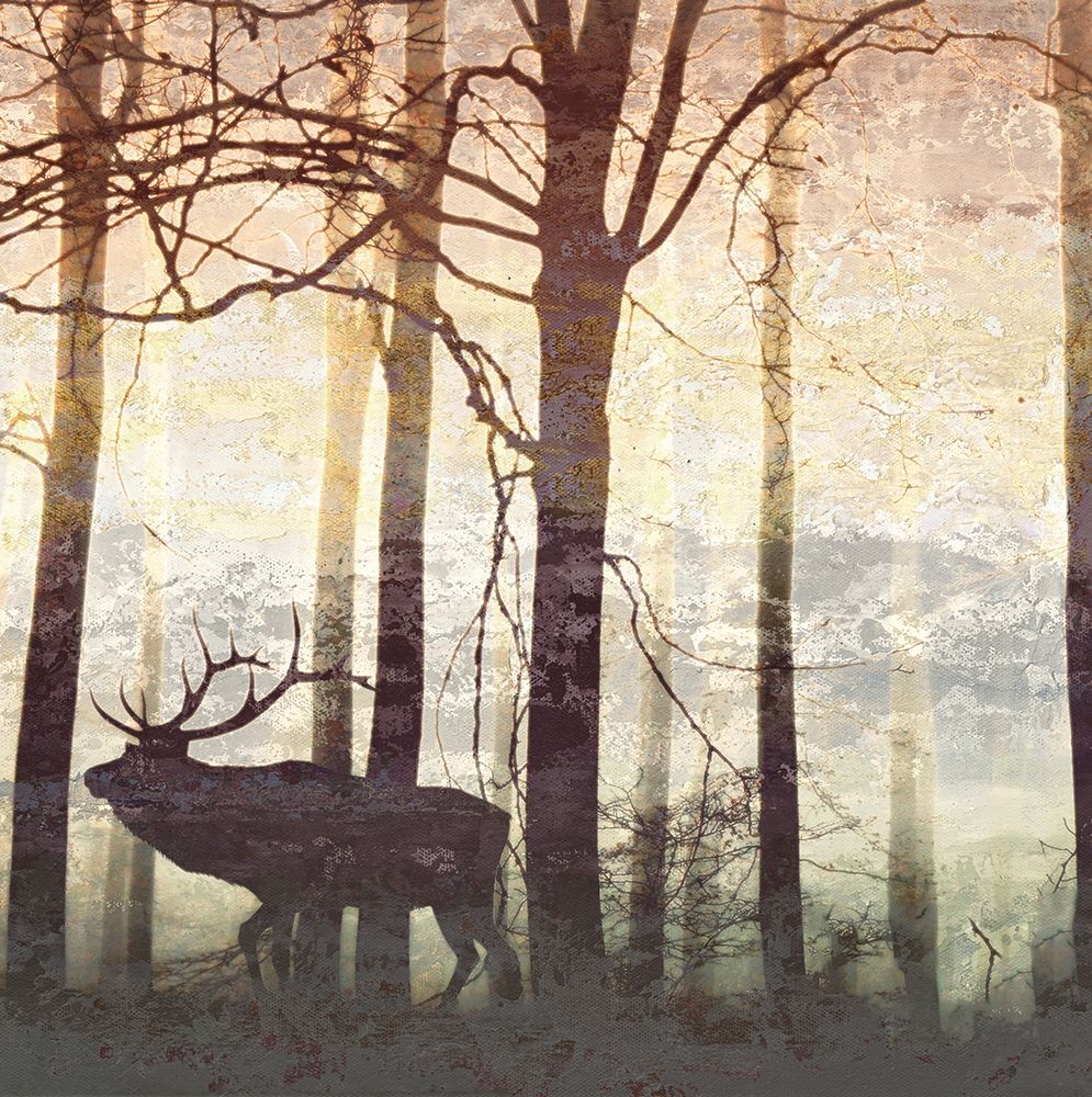 Deer Forest art print by Patricia Pinto for $57.95 CAD