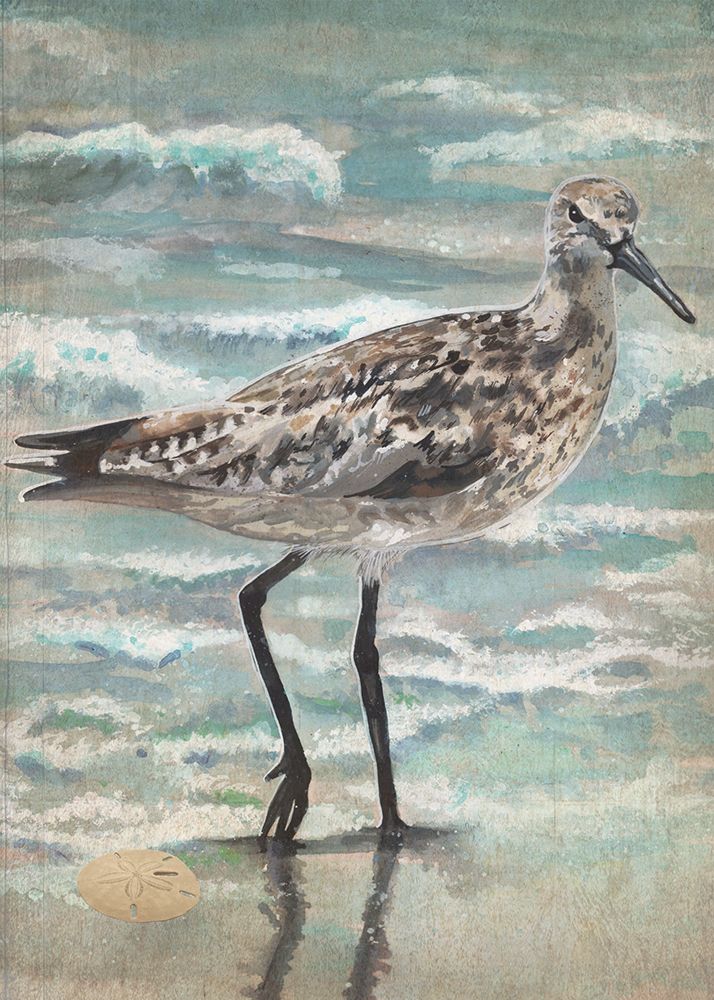Strolling Sandpiper art print by Erica Christopher for $57.95 CAD