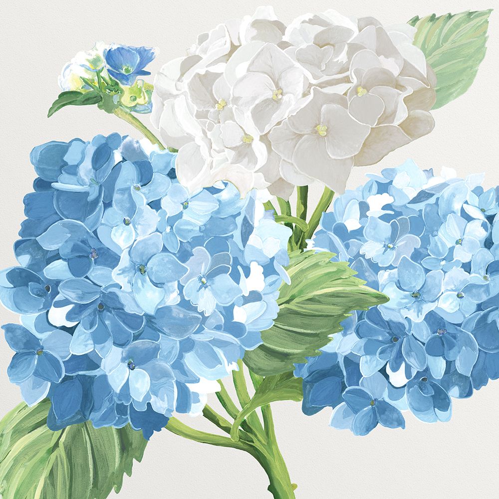 Hydrangeas I art print by Erica Christopher for $57.95 CAD
