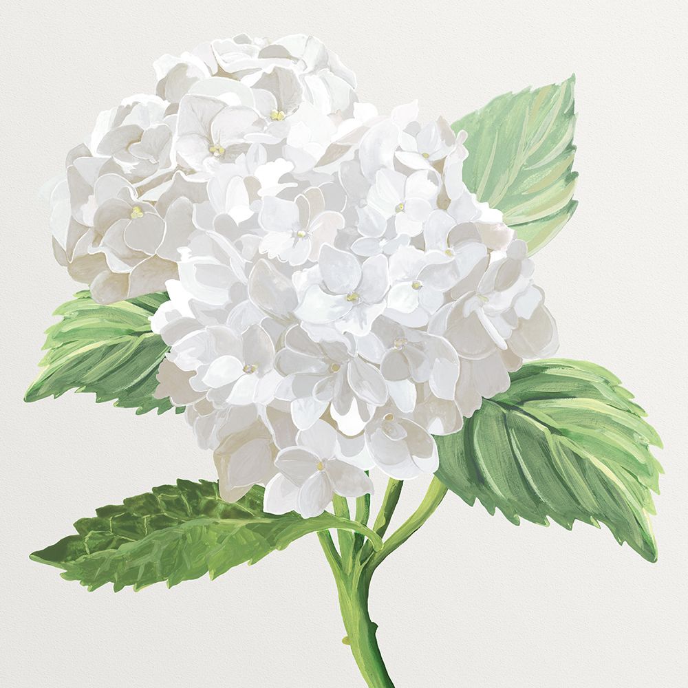 Hydrangeas II art print by Erica Christopher for $57.95 CAD