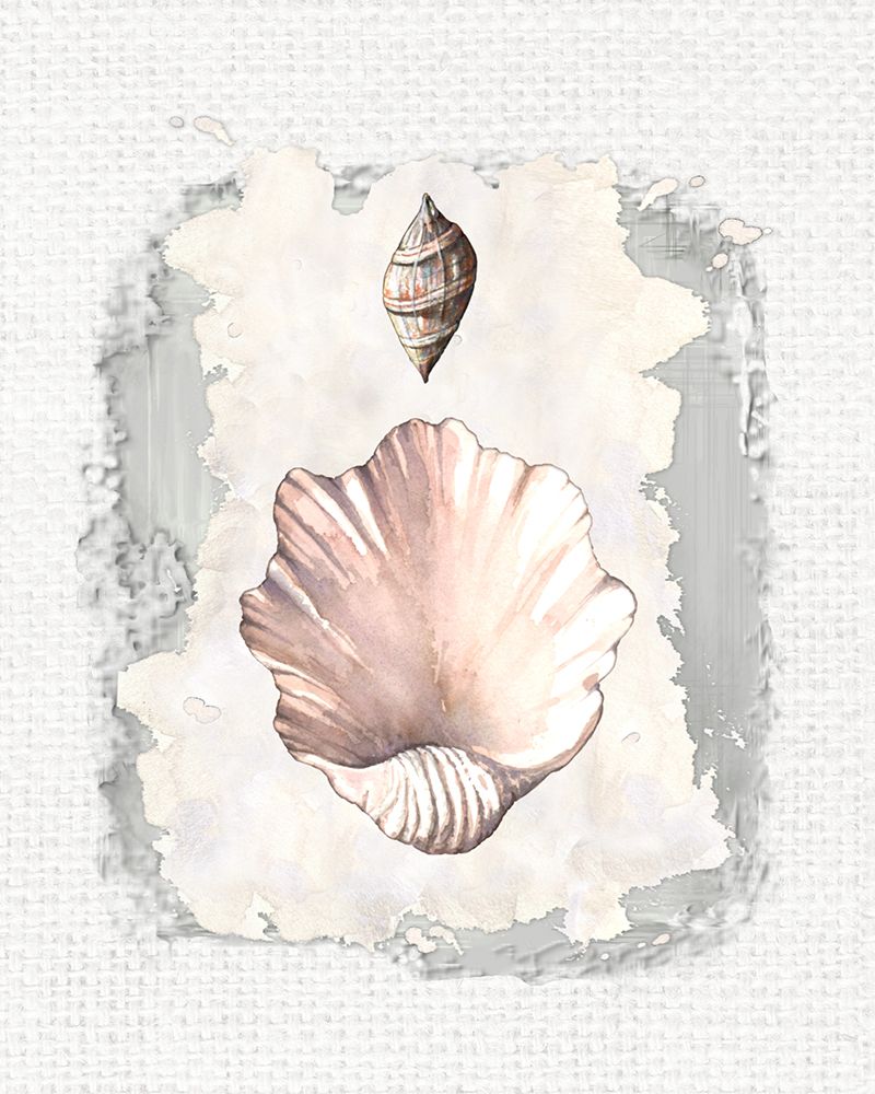 Textured Shells III art print by Diannart for $57.95 CAD