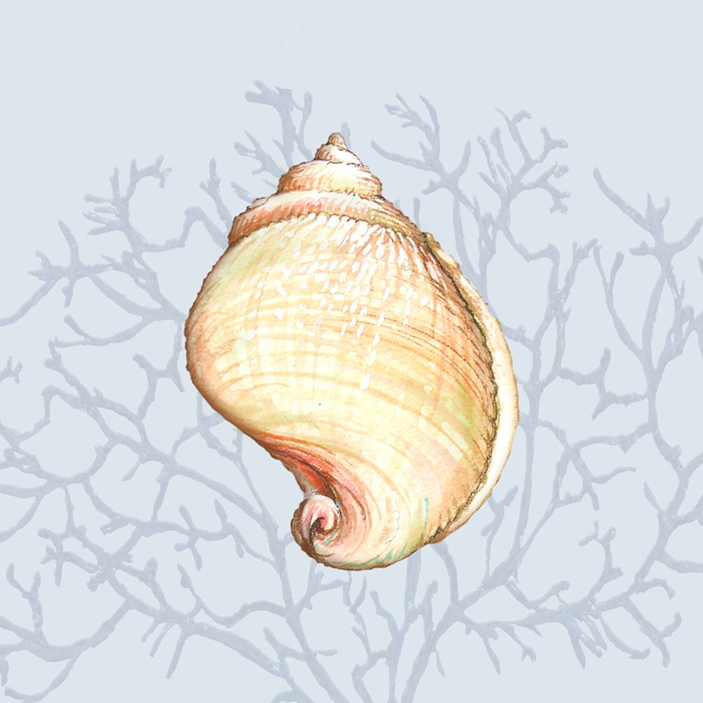 Shell On Blue art print by Diannart for $57.95 CAD