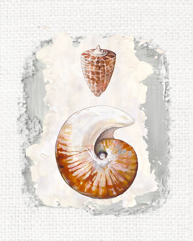 Textured Seashells II art print by Diannart for $57.95 CAD