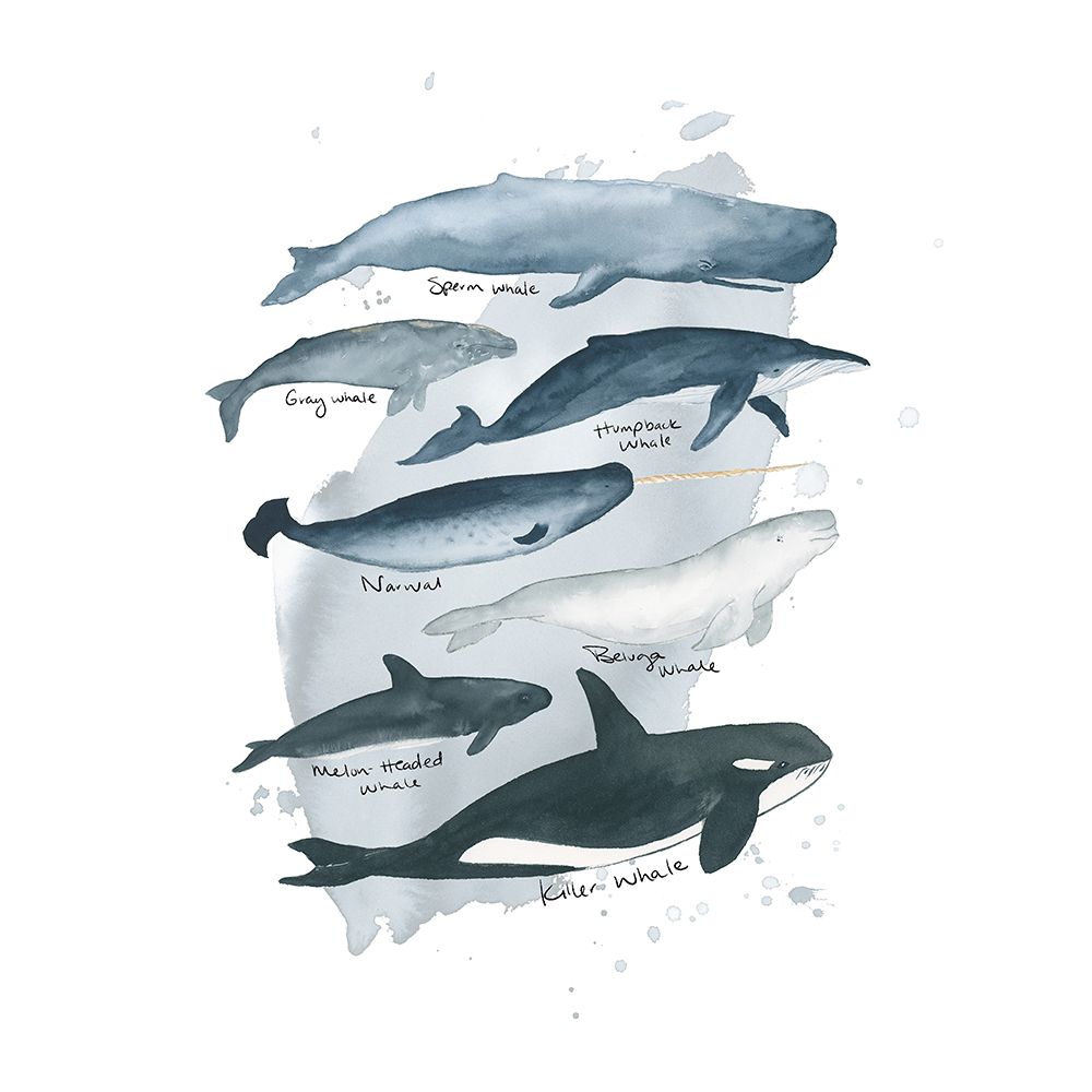 Wild Whales art print by Lucille Price for $57.95 CAD