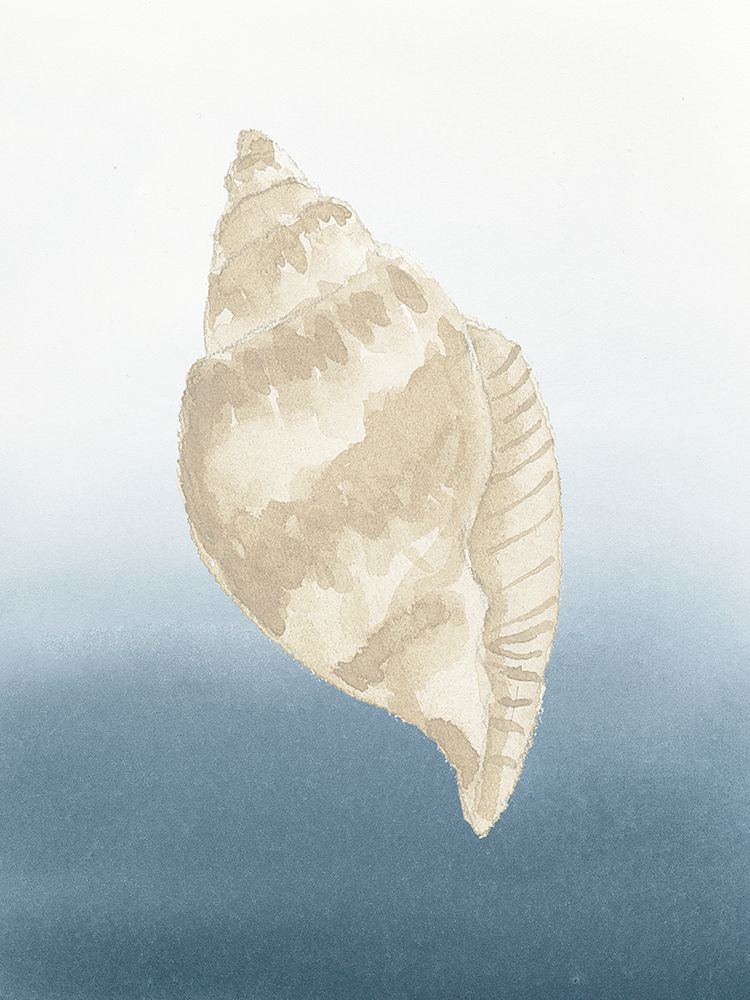 Coastal Tan Shell II art print by Lucille Price for $57.95 CAD