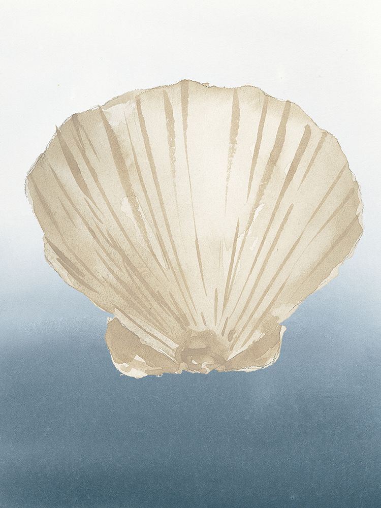 Coastal Tan Shell IV art print by Lucille Price for $57.95 CAD