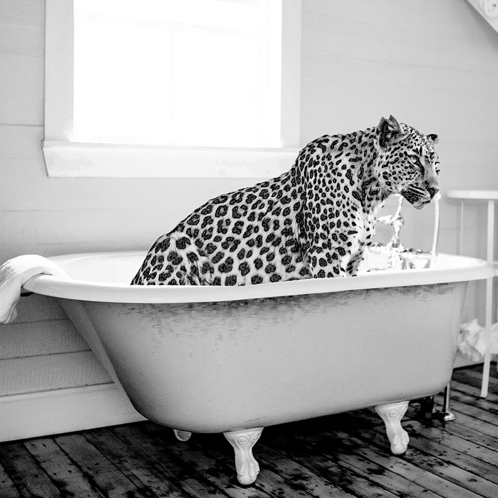 Safari Bath III art print by SD Graphics Studio for $57.95 CAD