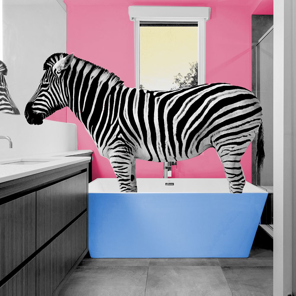 Hot Pink Safari Bath Zebra art print by SD Graphics Studio for $57.95 CAD