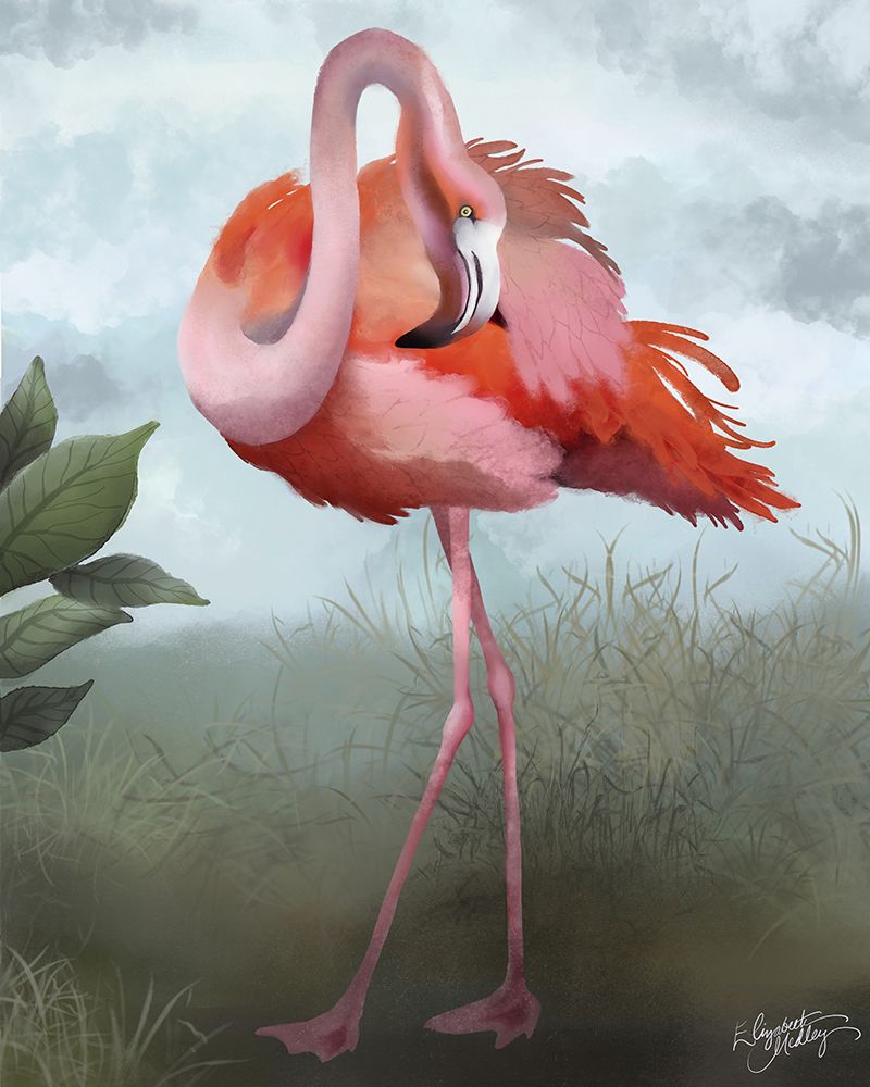 Flamingo Study I art print by Elizabeth Medley for $57.95 CAD