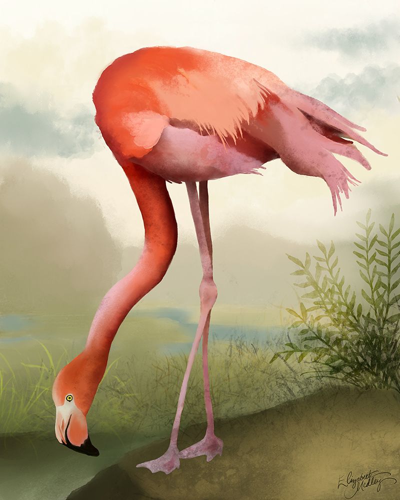 Flamingo Study II art print by Elizabeth Medley for $57.95 CAD