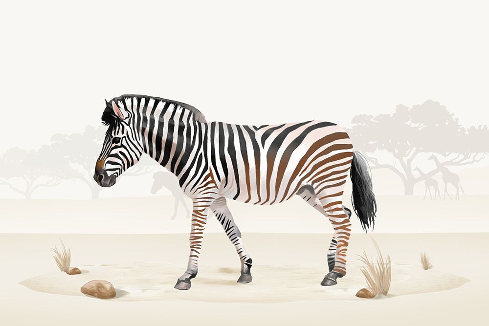 Zebra art print by Lucca Sheppard for $57.95 CAD