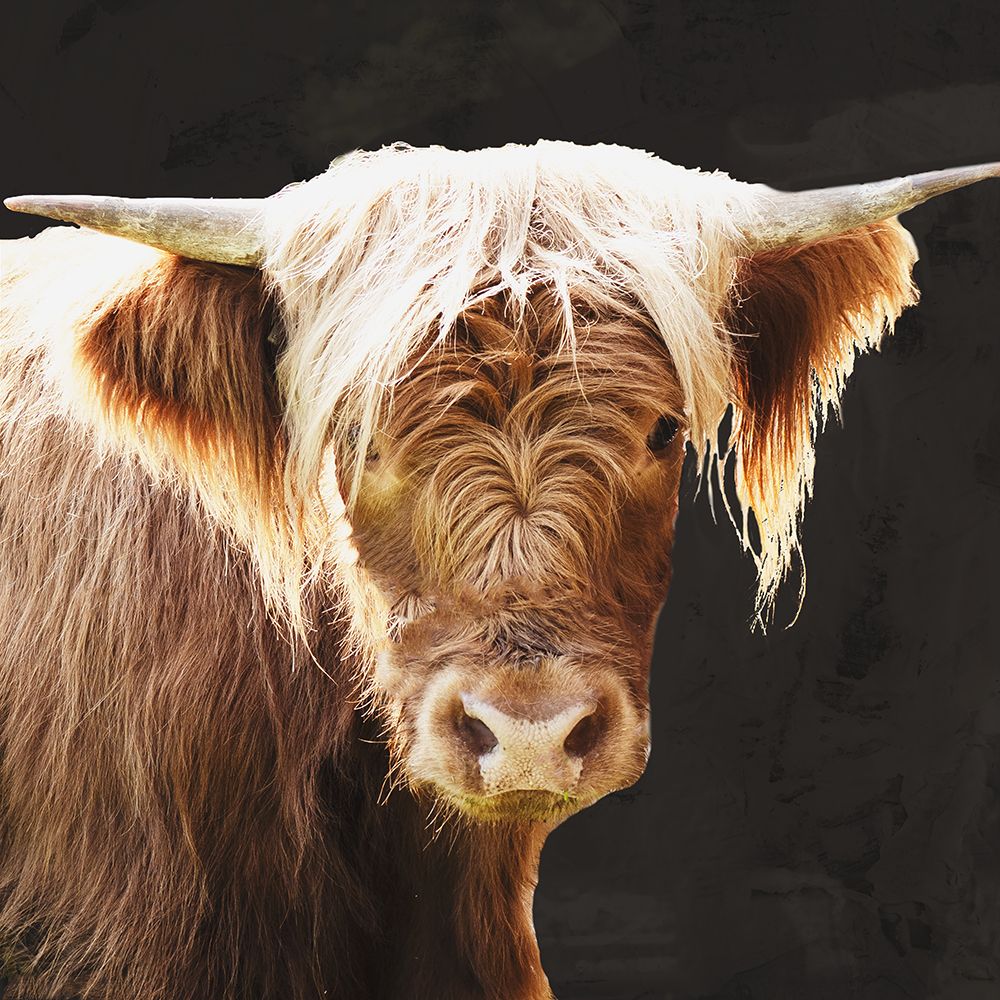 Miss Coras Momma art print by Emily Navas for $57.95 CAD
