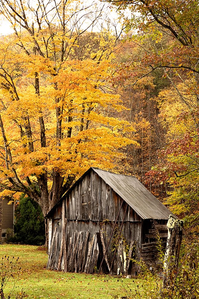 Rustic Barn art print by Kathy Mansfield for $57.95 CAD