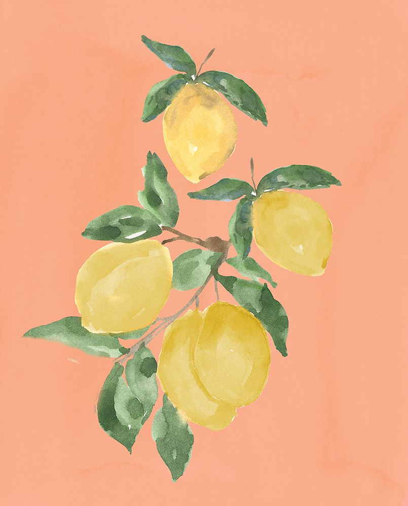 Lemons art print by Lucille Price for $57.95 CAD