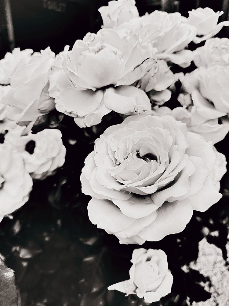 Roses Roses art print by Kali Wilson for $57.95 CAD