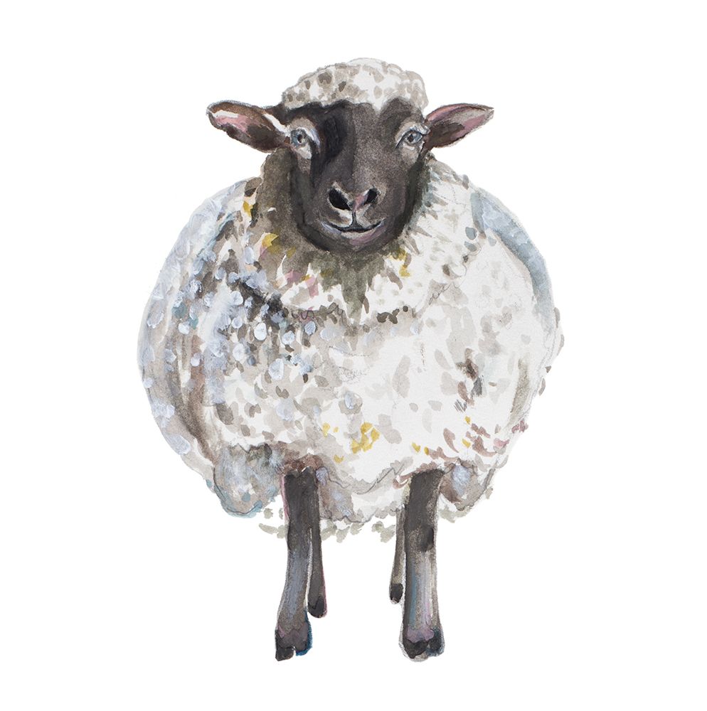 A Fat Sheep art print by Patricia Pinto for $57.95 CAD