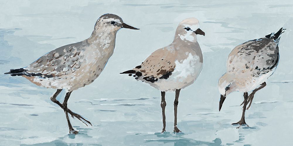 Sandpipers art print by Lorenzo Creative for $57.95 CAD