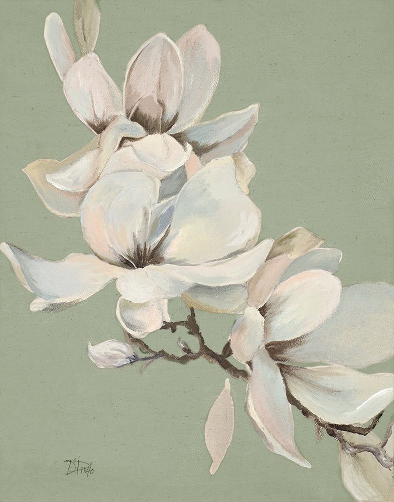 Magnolias on Sage art print by Patricia Pinto for $57.95 CAD