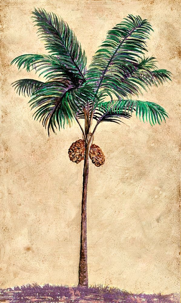 Coconut Tribal Palm II art print by Merri Pattinian for $57.95 CAD