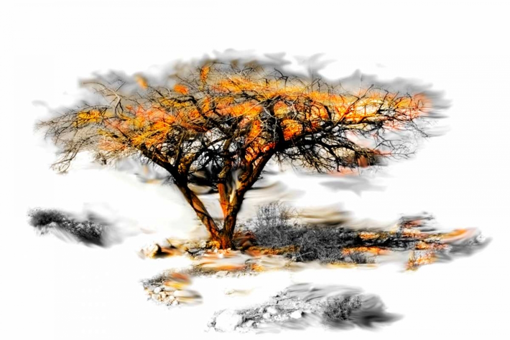 Trees Alive II art print by Ynon Mabat for $57.95 CAD