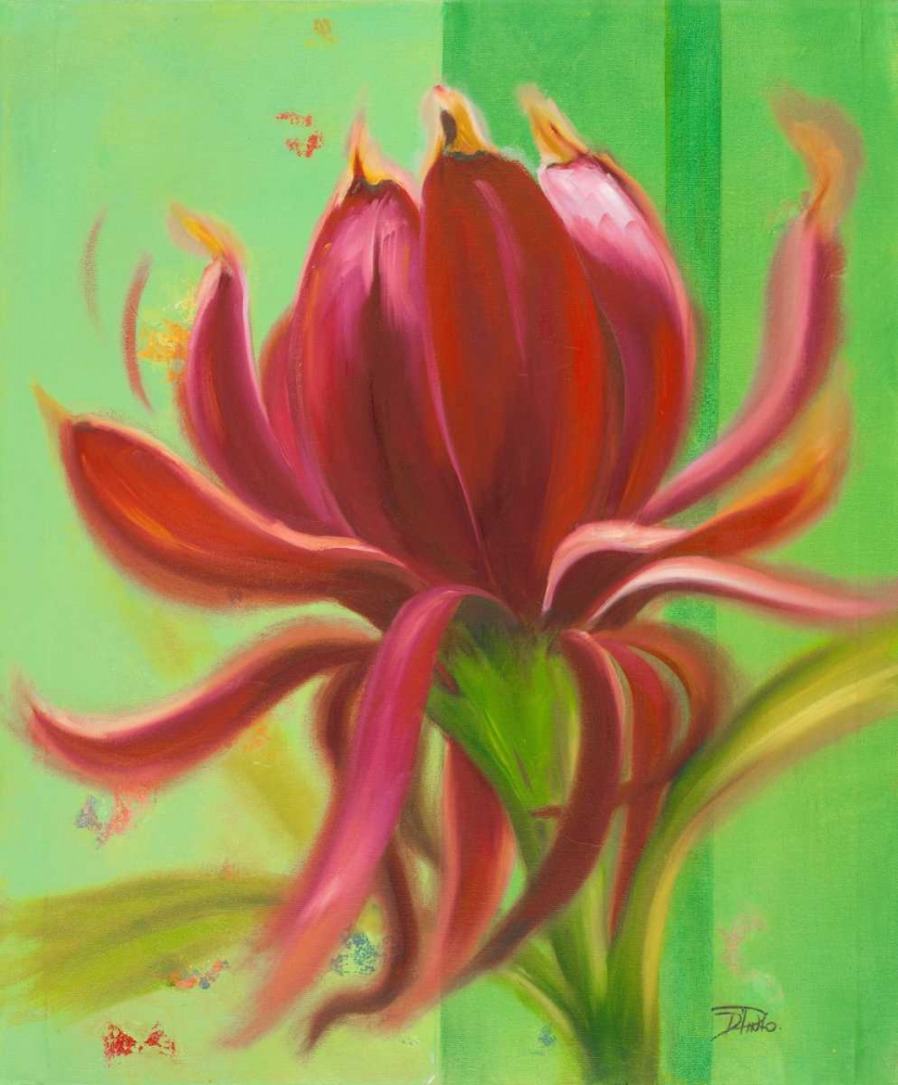 Exotica I art print by Patricia Pinto for $57.95 CAD