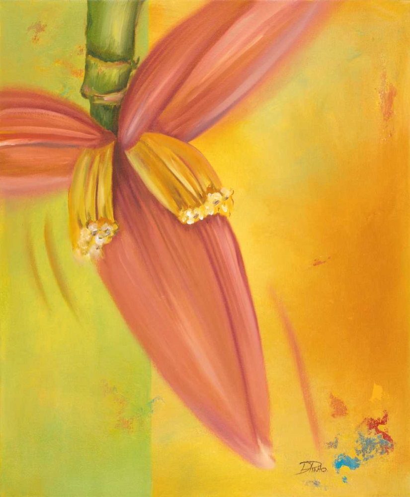 Exotica II art print by Patricia Pinto for $57.95 CAD