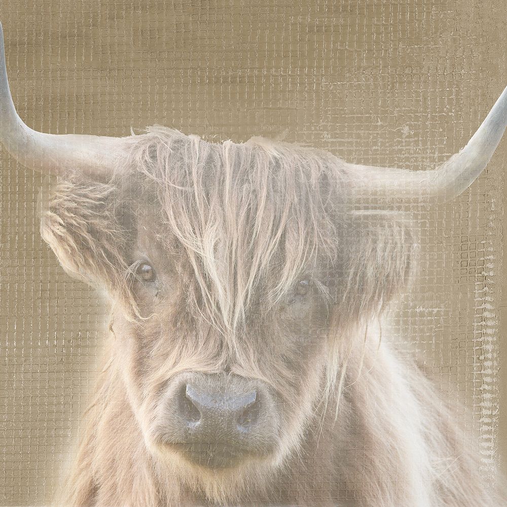 Soulful Bull art print by Patricia Pinto for $57.95 CAD