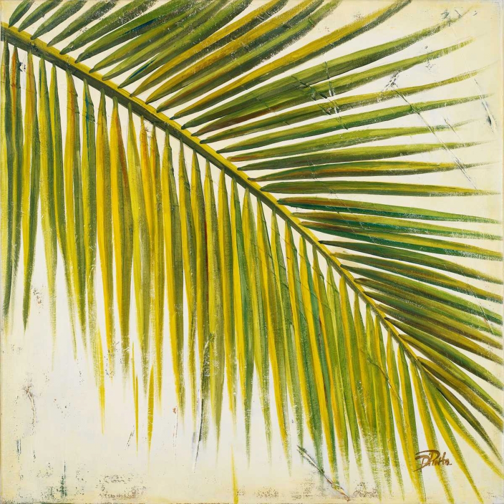 Baru Palm III art print by Patricia Pinto for $57.95 CAD
