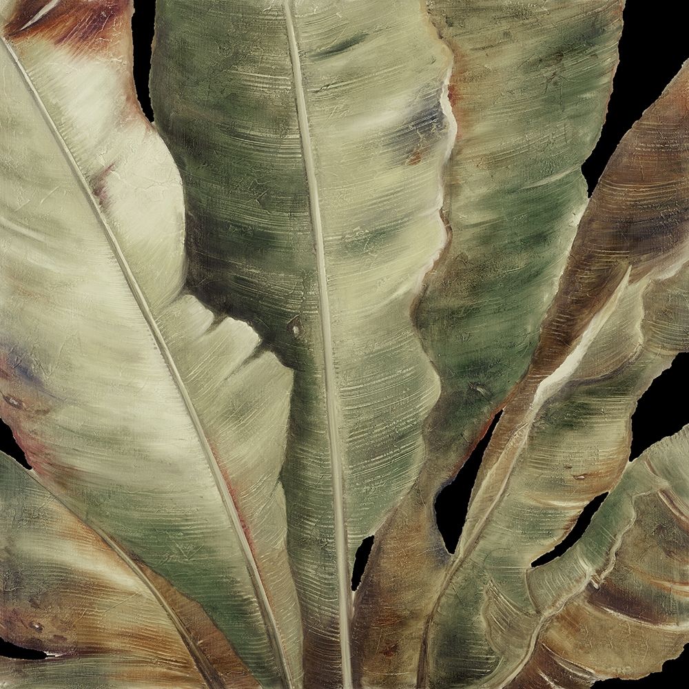 Uraba Palm on Black II art print by Patricia Pinto for $57.95 CAD