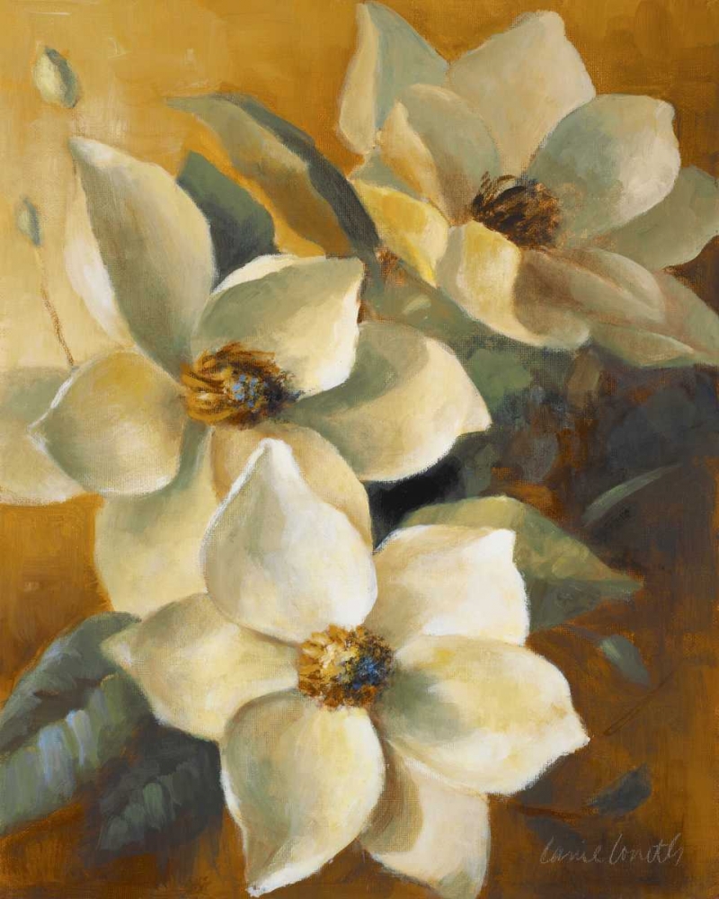 Magnolias Aglow at Sunset II art print by Lanie Loreth for $57.95 CAD