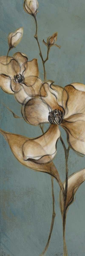 Translucent Magnolias art print by Lanie Loreth for $57.95 CAD