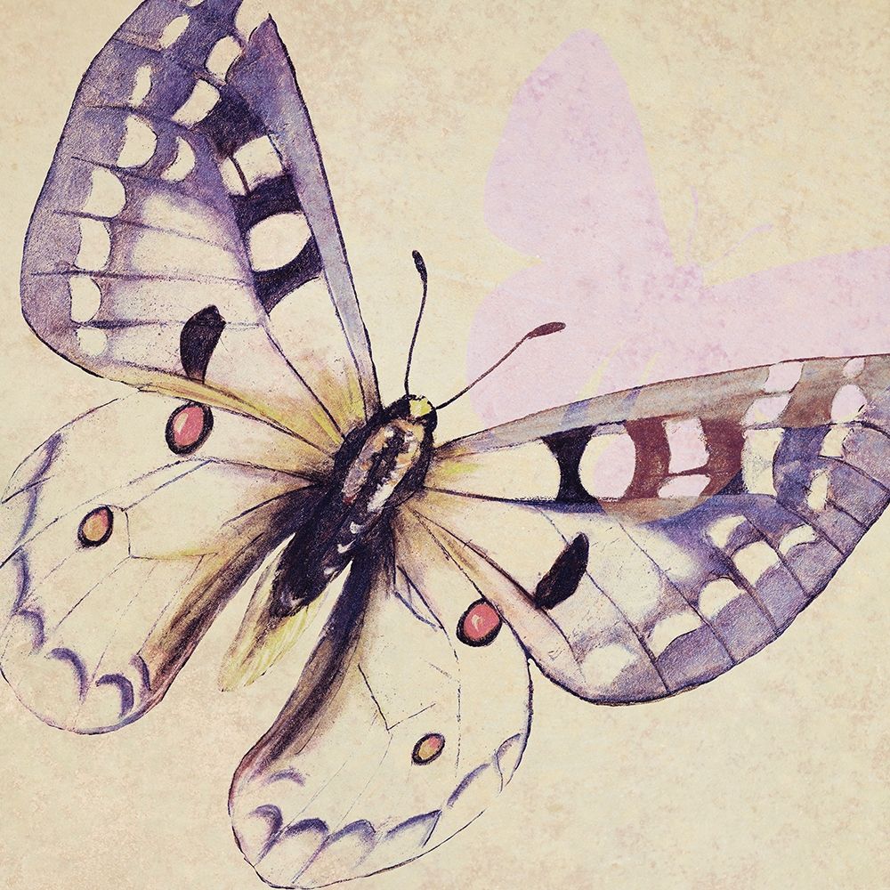 Lavender Butterfly on Cream art print by Patricia Pinto for $57.95 CAD