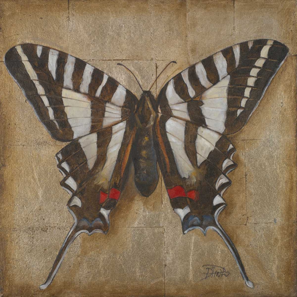 Butterfly I art print by Patricia Pinto for $57.95 CAD