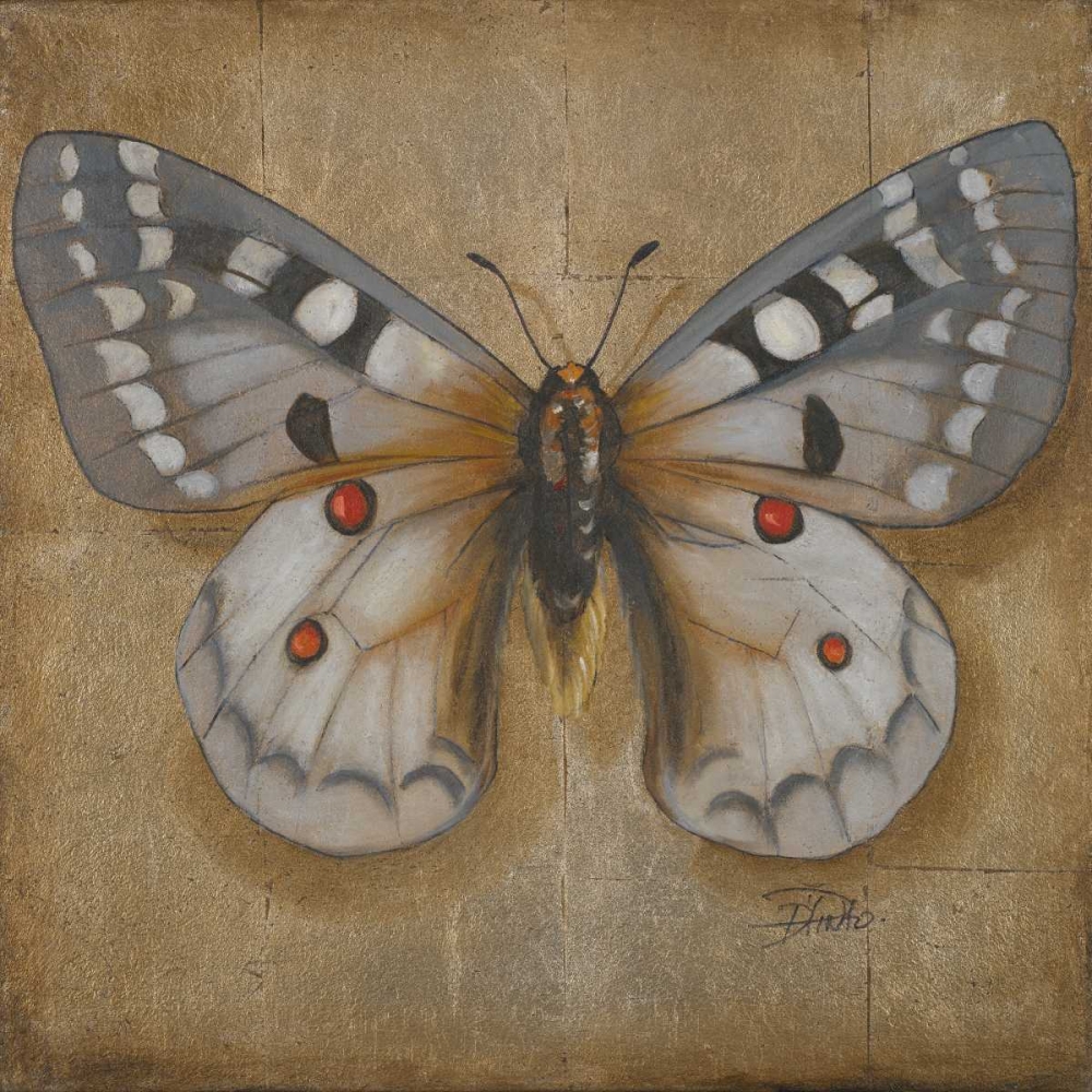 Butterfly II art print by Patricia Pinto for $57.95 CAD
