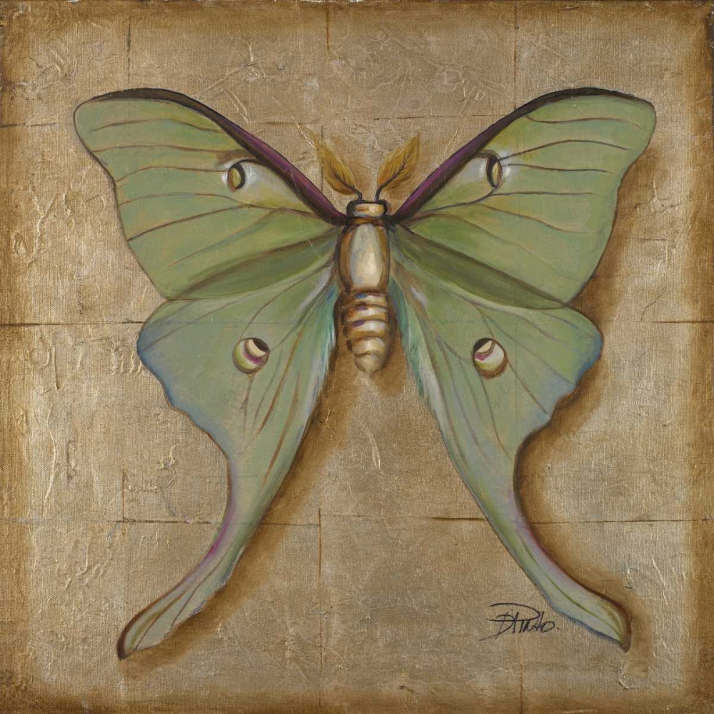 Luna Moth art print by Patricia Pinto for $57.95 CAD