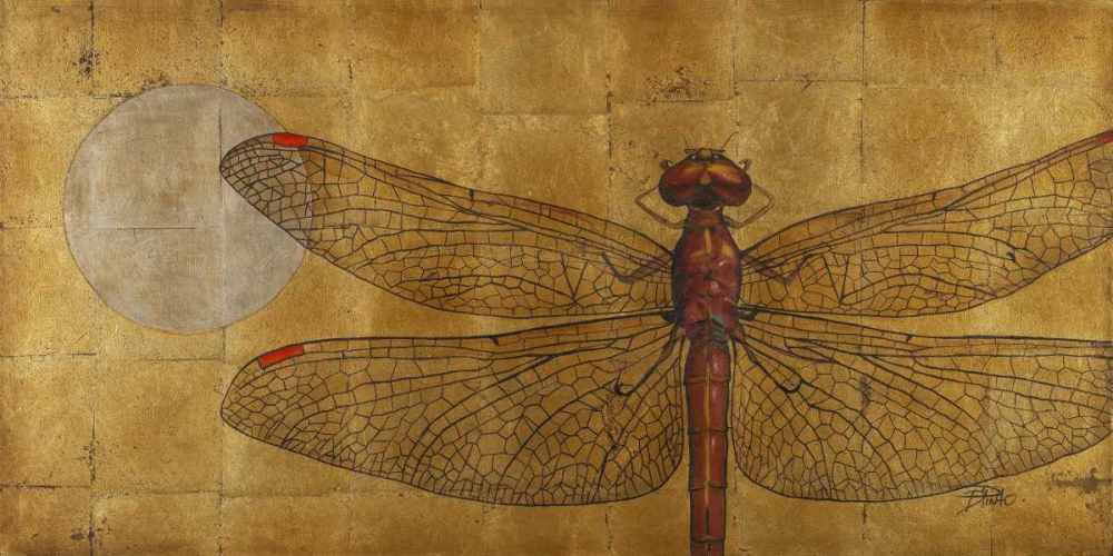 Dragonfly on Gold art print by Patricia Pinto for $57.95 CAD