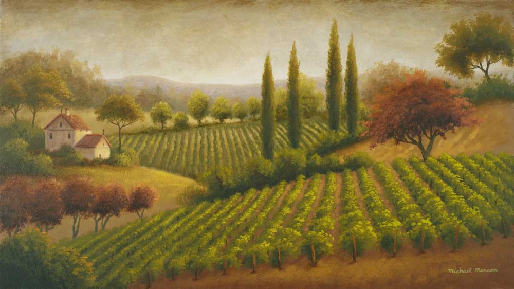 Vineyard In The Sun I art print by Michael Marcon for $57.95 CAD
