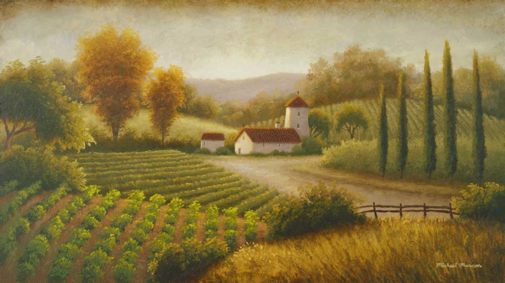 Vineyard In The Sun II art print by Michael Marcon for $57.95 CAD