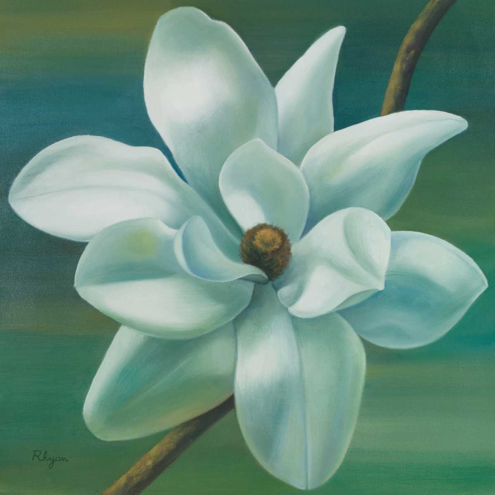 Star Magnolia art print by Vivien Rhyan for $57.95 CAD