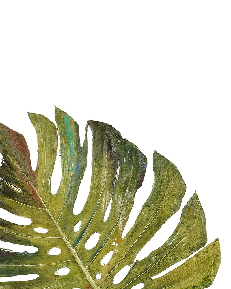 Partial Palm I art print by Patricia Pinto for $57.95 CAD