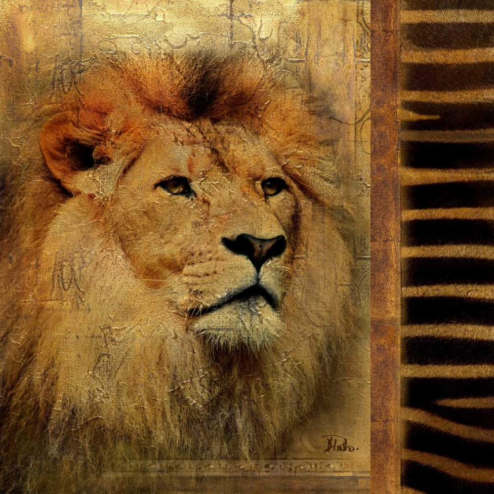 Elegant Safari IV  - Lion art print by Patricia Pinto for $57.95 CAD