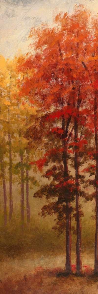 Fall Trees II art print by Michael Marcon for $57.95 CAD
