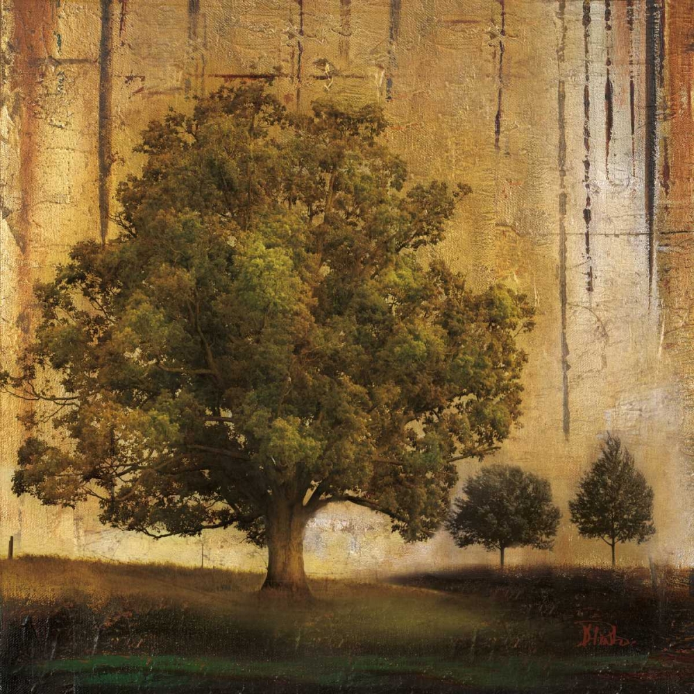 Aged Tree II art print by Patricia Pinto for $57.95 CAD